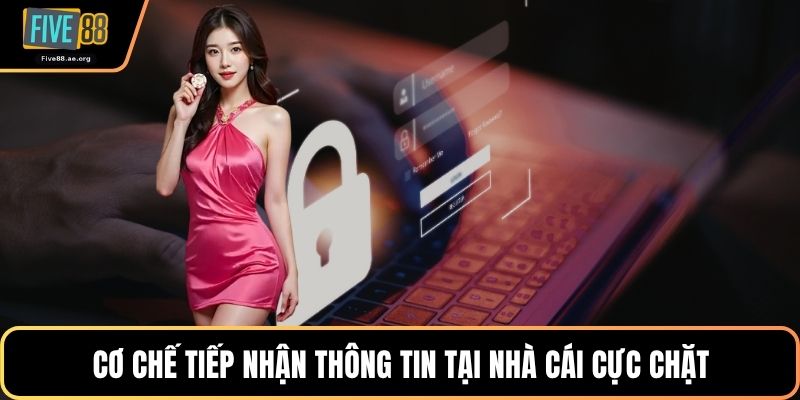 Cơ chế tiếp nhận thông tin tại nhà cái cực chặt