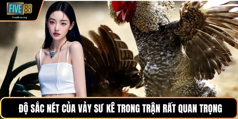Độ sắc nét của vảy sư kê trong trận rất quan trọng