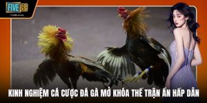 Kinh Nghiệm Cá Cược Đá Gà