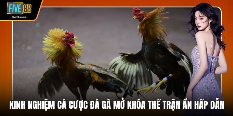 Kinh Nghiệm Cá Cược Đá Gà