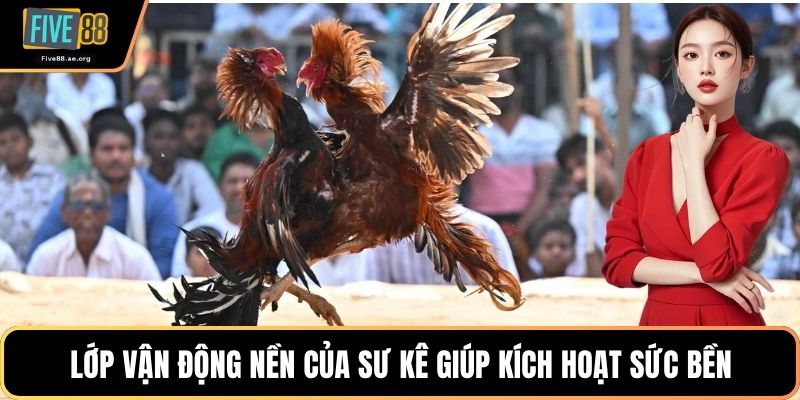 Lớp vận động nền của sư kê giúp kích hoạt sức bền