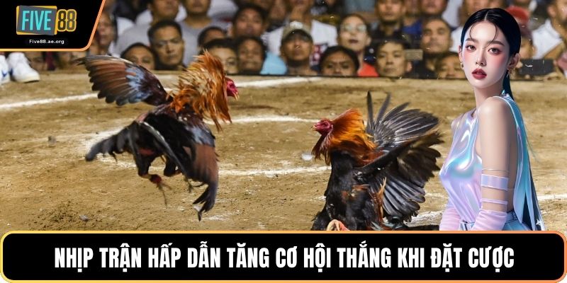 Nhịp trận hấp dẫn tăng cơ hội thắng khi đặt cược