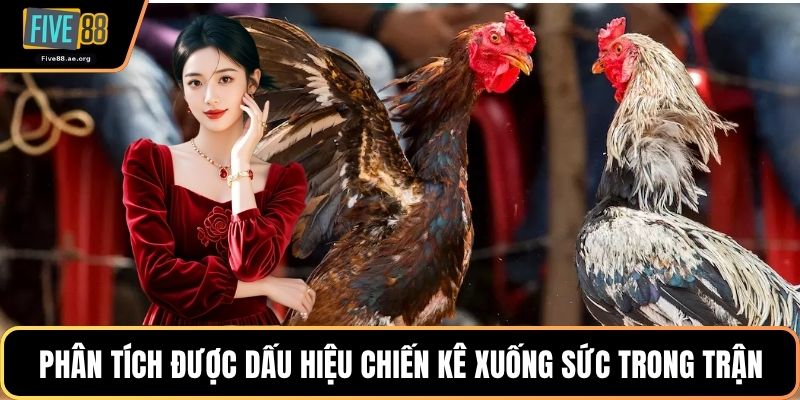 Phân tích được dấu hiệu chiến kê xuống sức trong trận