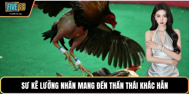 Sư kê lưỡng nhãn mang đến thần thái khác hẵn