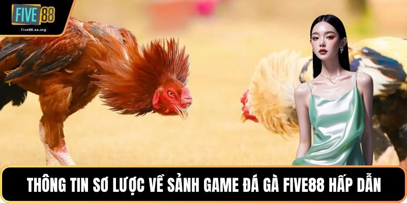 Thông tin sơ lược về sảnh game đá gà Five88 hấp dẫn